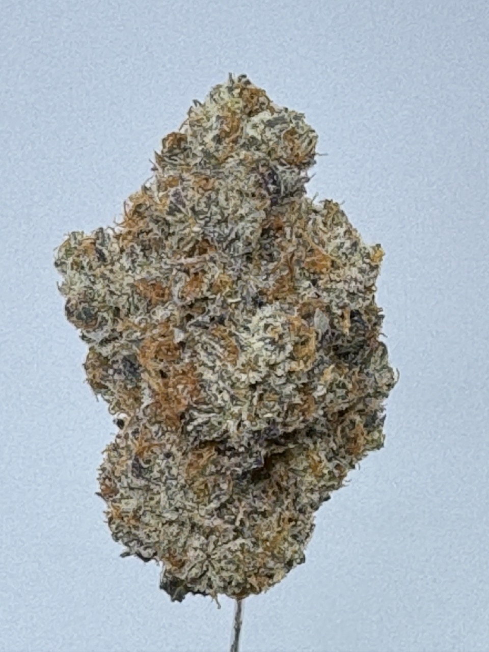 26 kol